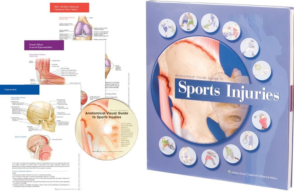 Anatomical Visual Guide to Sports Injuries