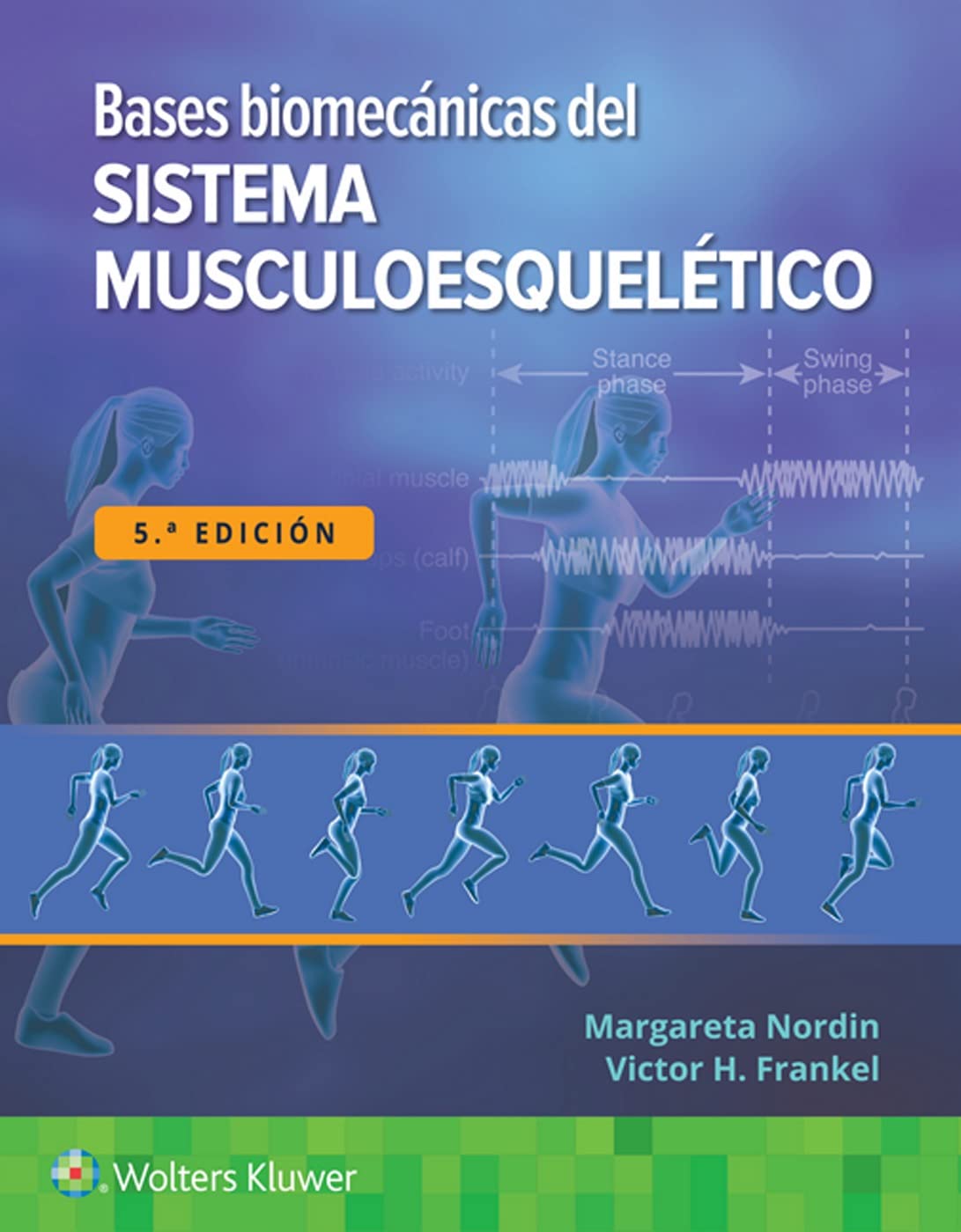 Bases biomécanicas del sistema musculoesquelético (Spanish Edition)