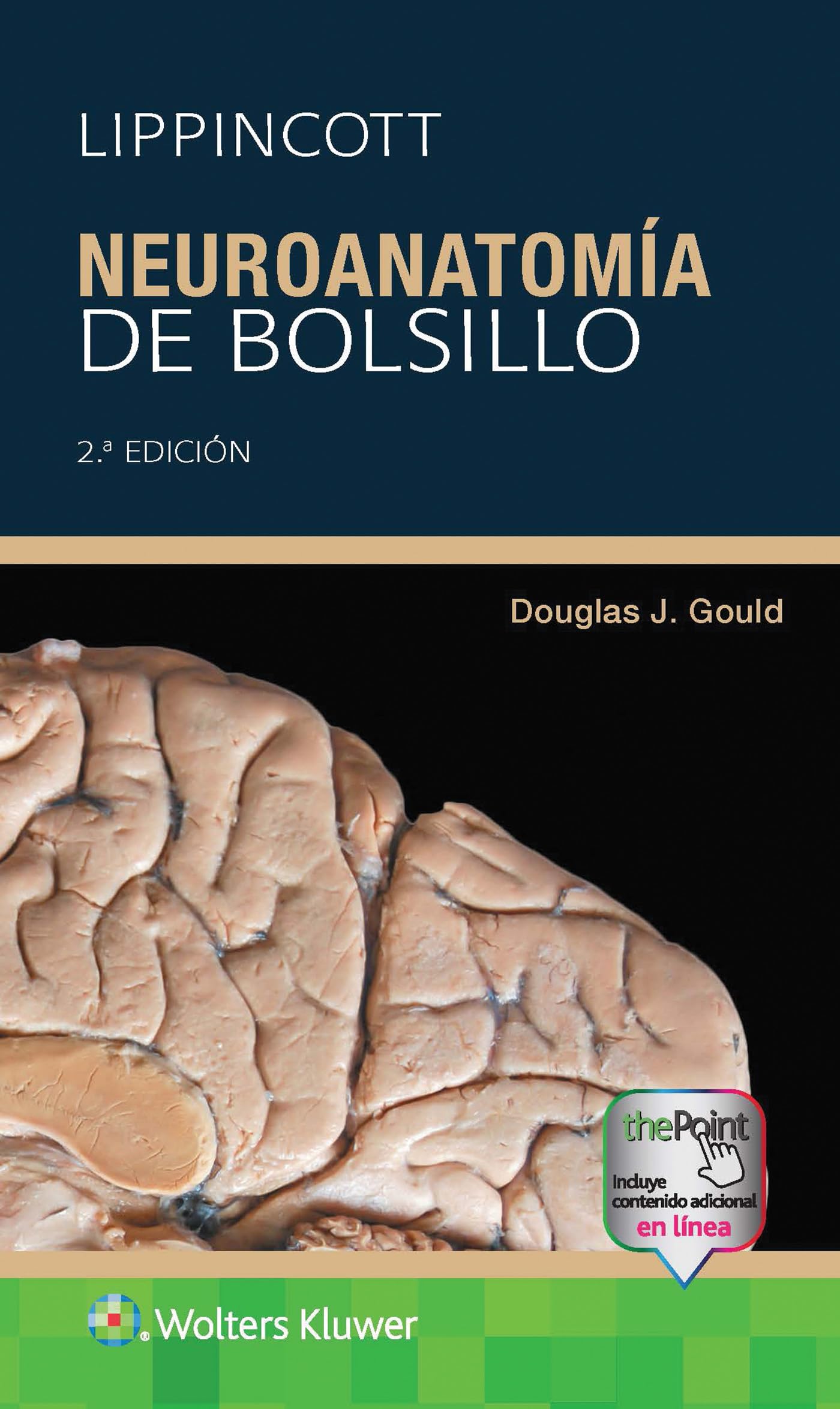 Lippincott. Neuroanatomía de bolsillo (Spanish Edition)