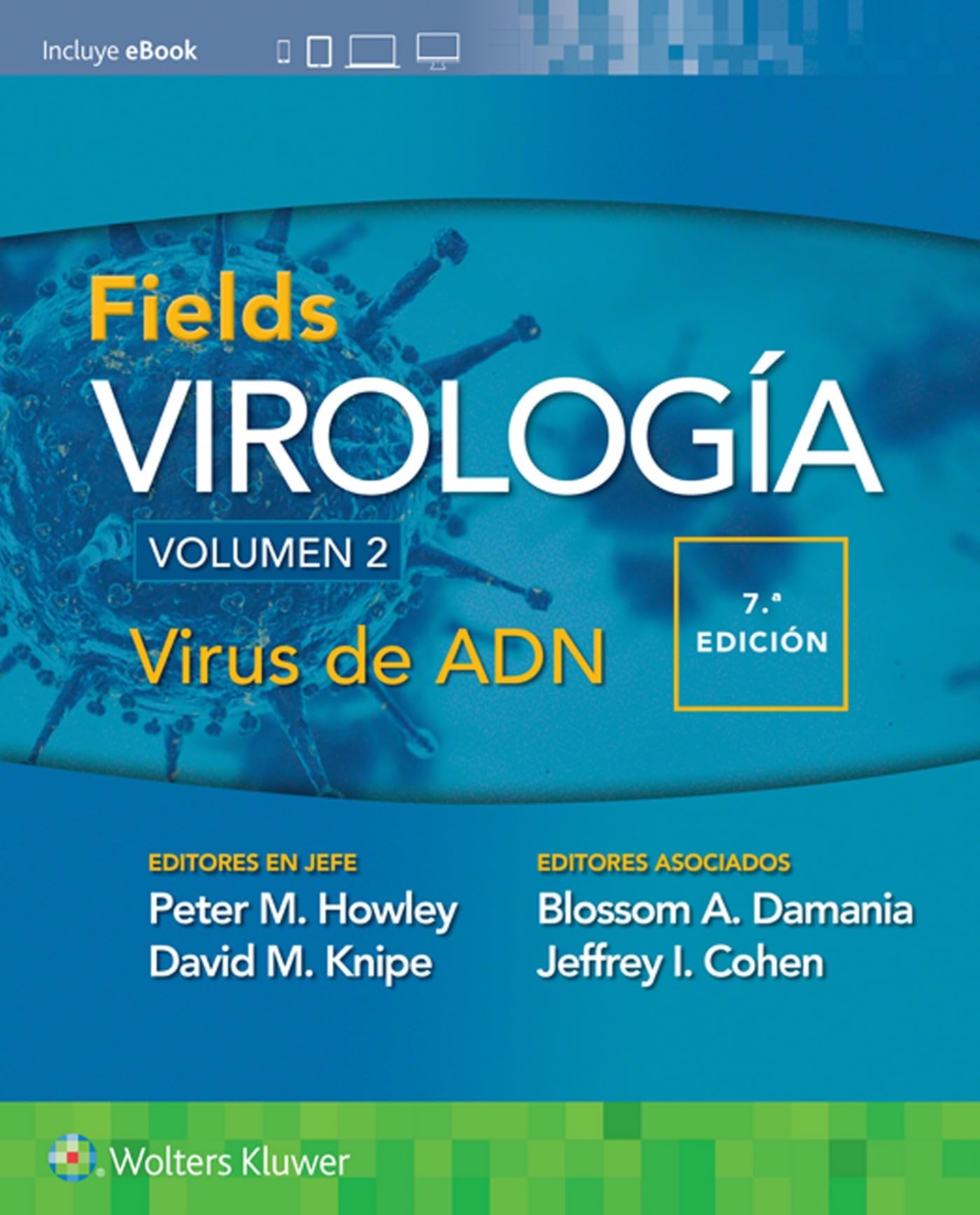 Fields. Virología. Volumen II. Virus de ADN (Spanish Edition)