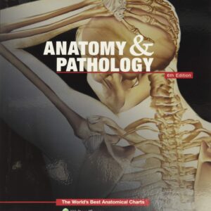 Anatomy & Pathology:The World's Best Anatomical Charts Book (The World's Best Anatomical Chart Series)